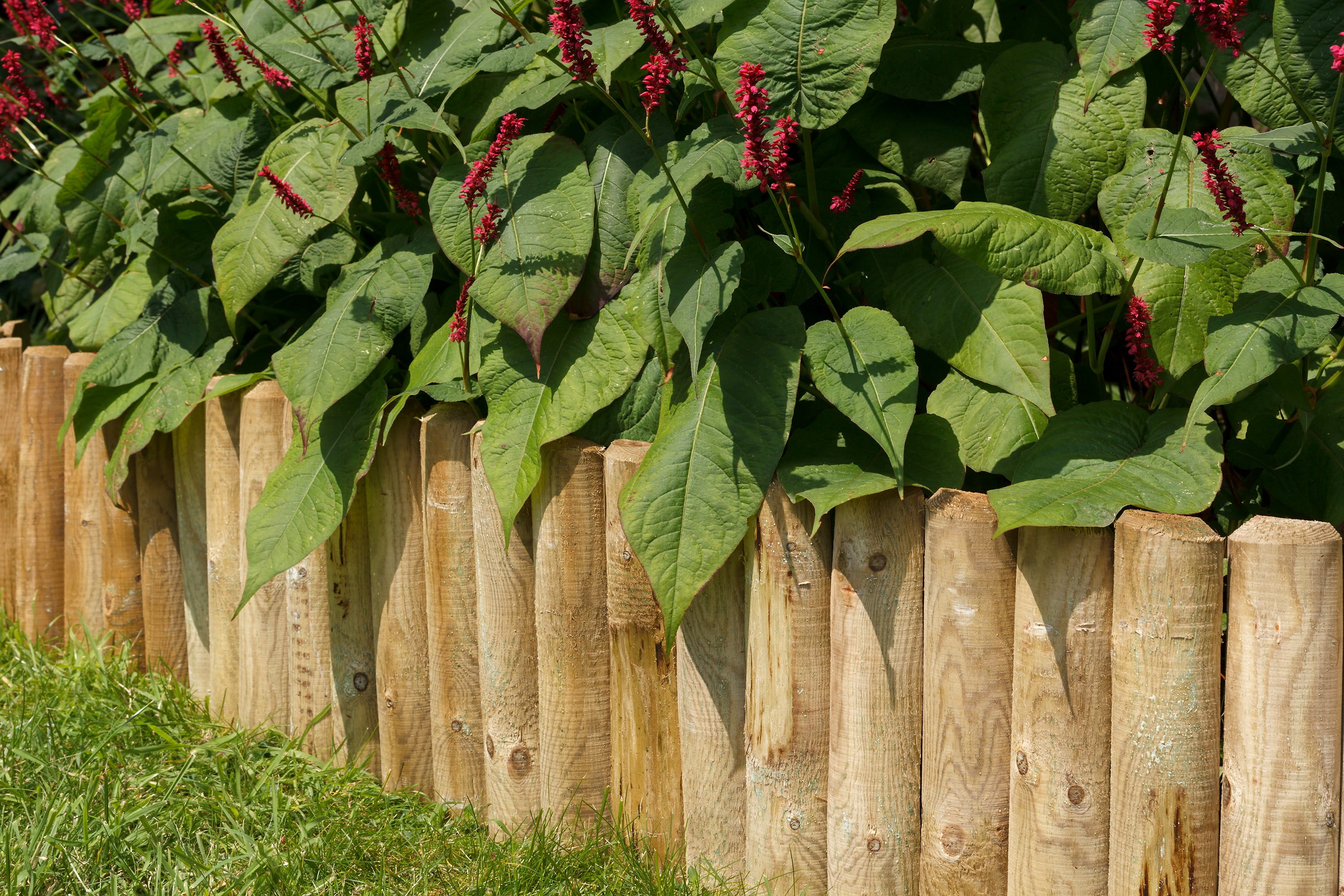 Grange Log Edging Roll Kebur