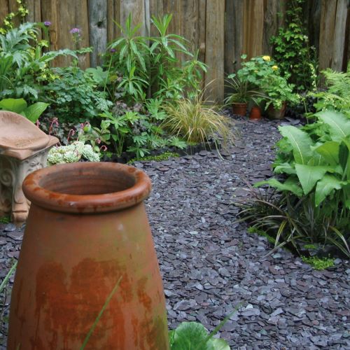 Blue slate chippings with plants and terracotta pot