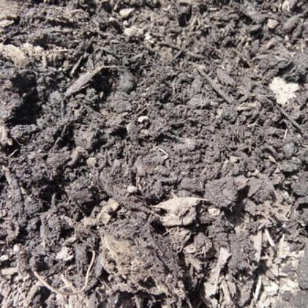 Peat Free Multipurpose Compost (50L)