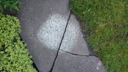 EASY Patio and Deck Cleaner - Image 3