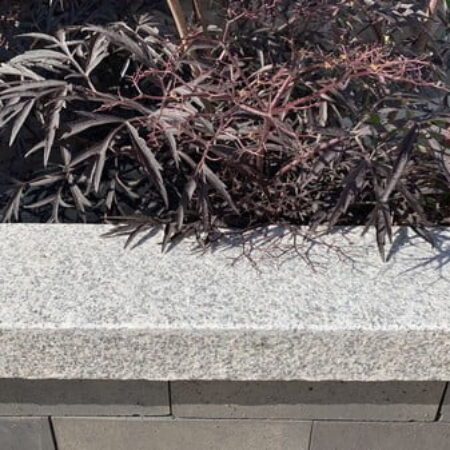 Kebur Light Grey Granite Coping/Edging