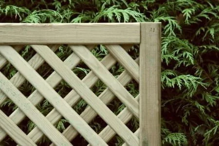 KDM Privacy Lattice Trellis - Image 3