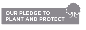 Our pledge to plant and protect