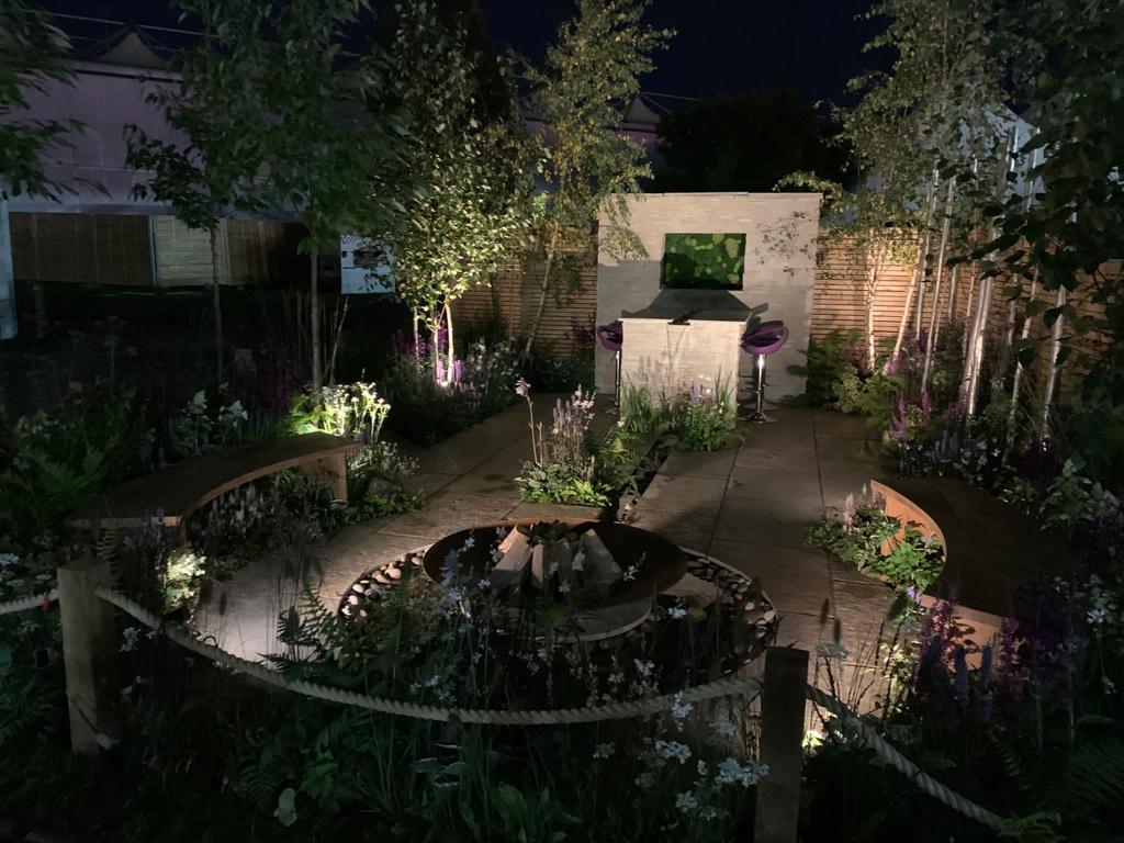 Woodland garden with ambient lighting