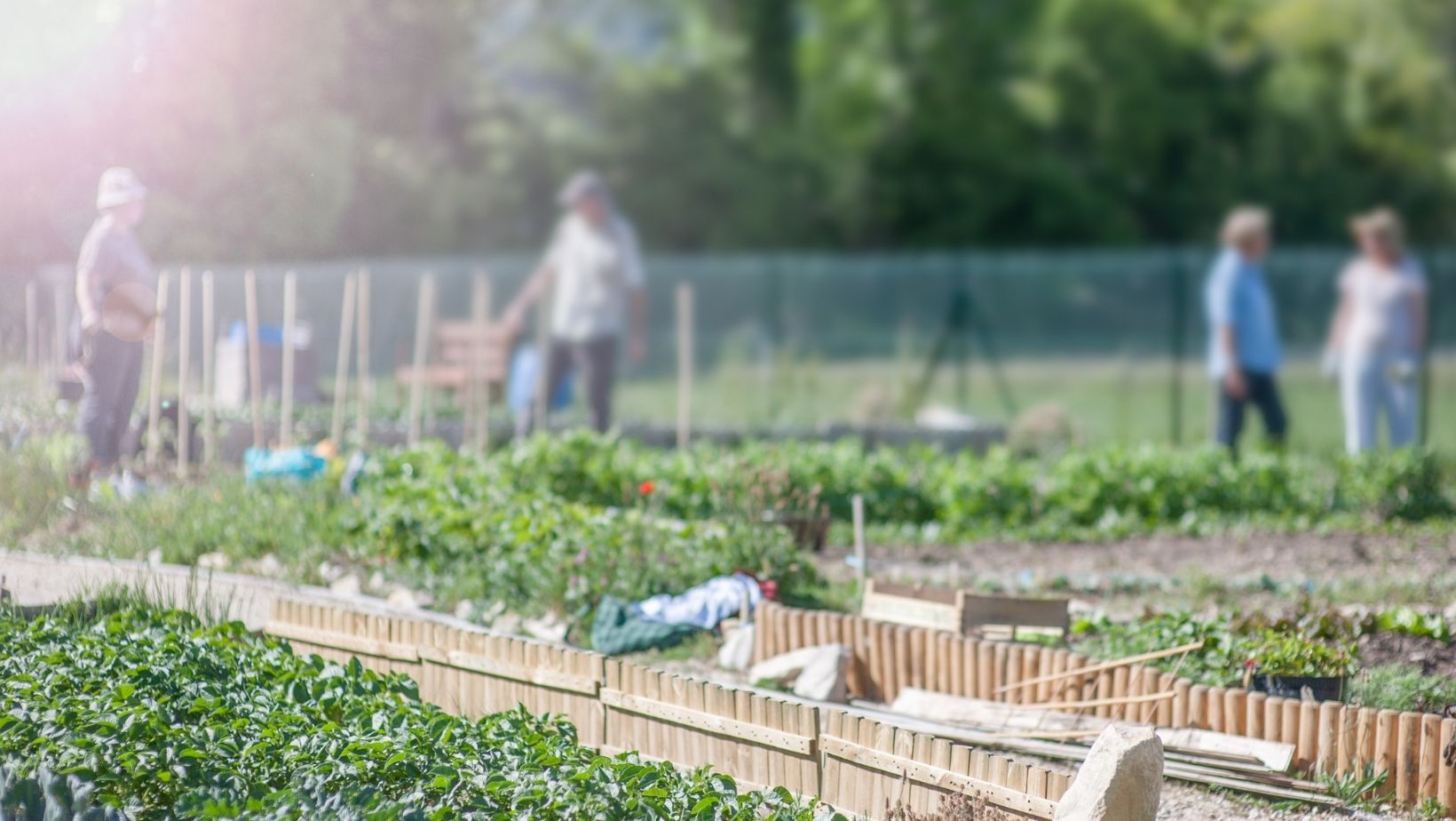 Community gardening