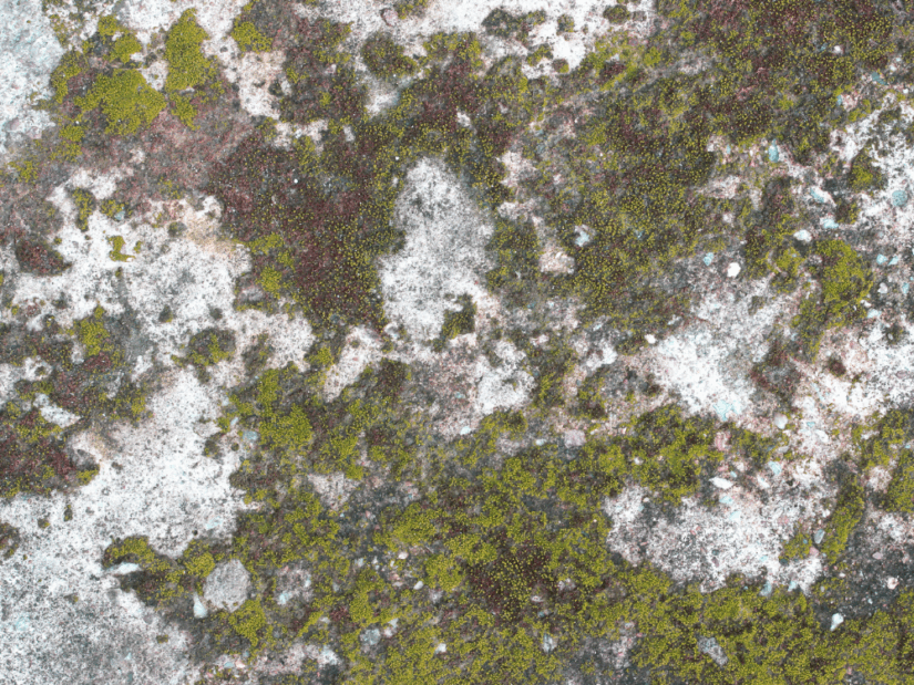 Our top tips on how to clean patio slabs Kebur Garden Materials