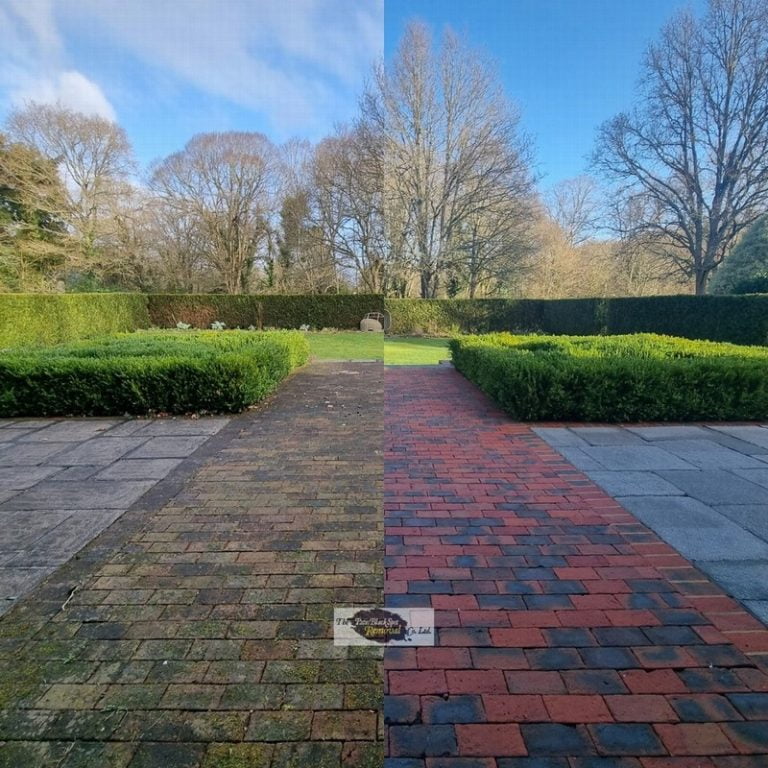 Patio Black Spot Remover and Preventer Kebur Garden Materials