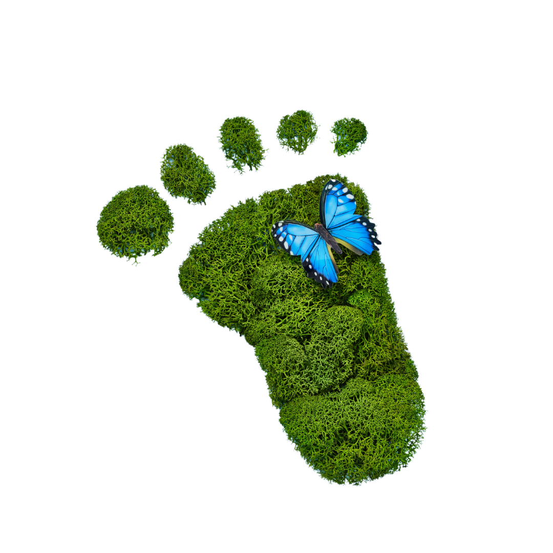 Carbon Footprint Carbon Footprint