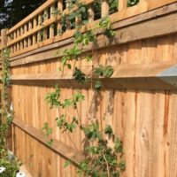Fence panels and picket fences