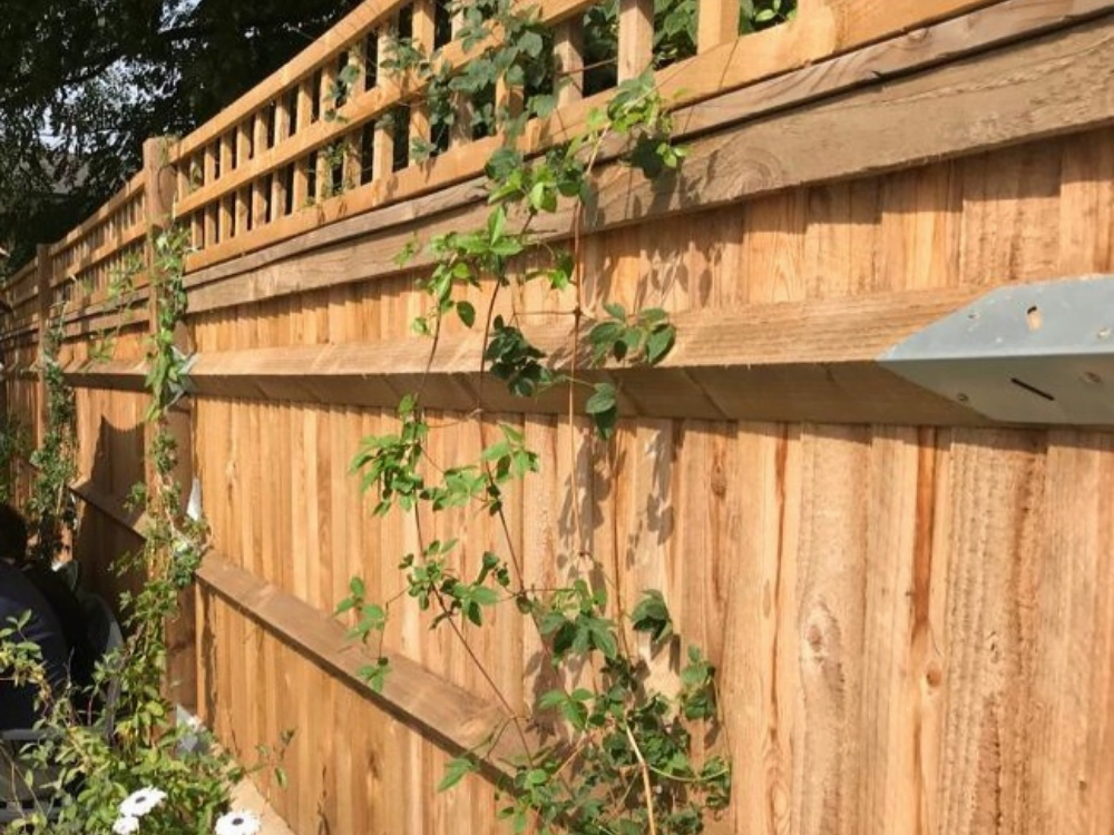 Fence Feather edge board and arris rail fencing