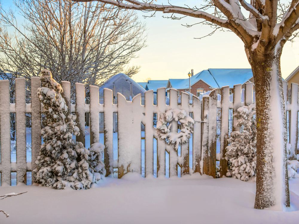 Winter fencing