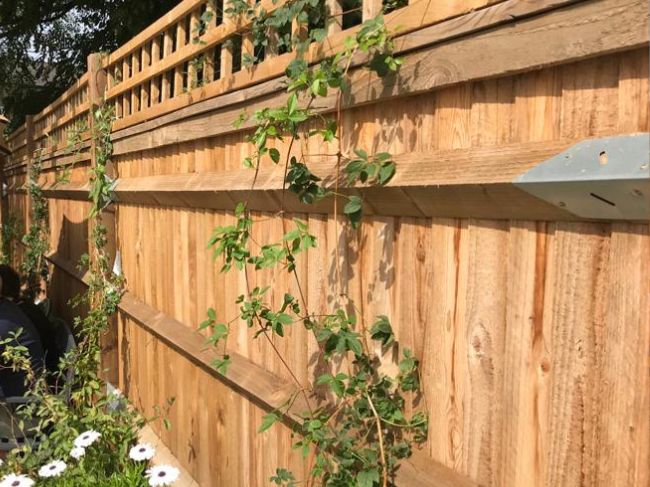 Feather edge fencing