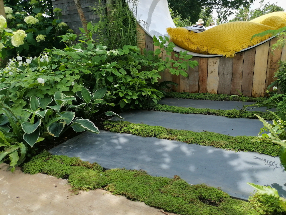 Transform Your Garden 11