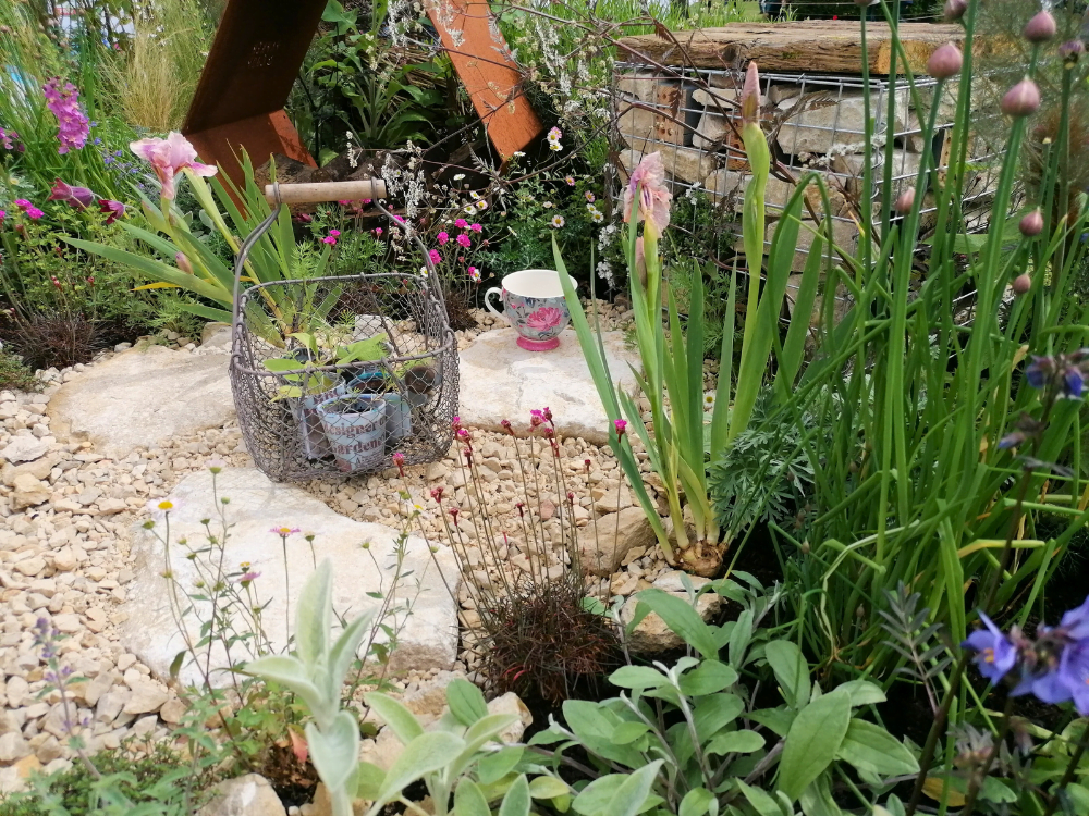 Transform Your Garden 3