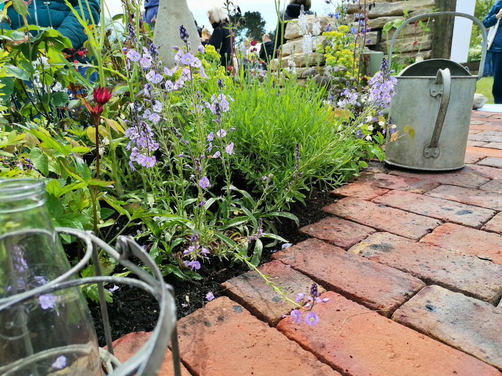 Transform Your Garden 6