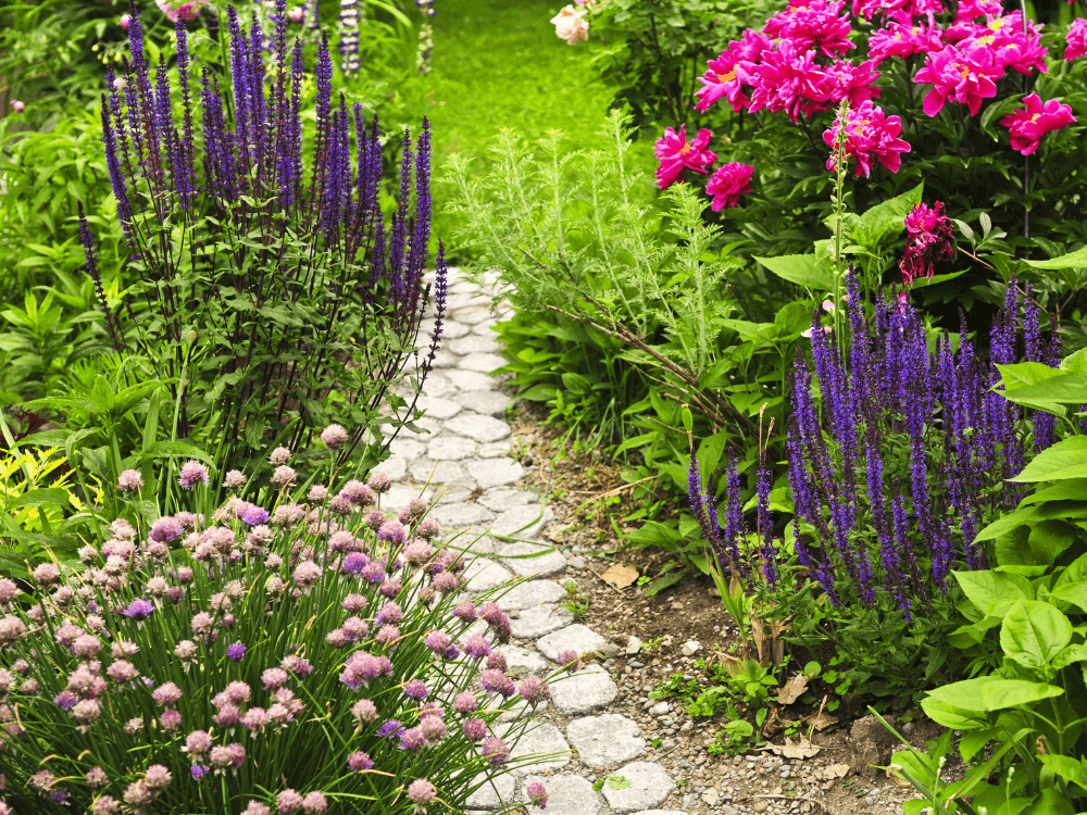 Landscaping Trends Blog 1 Landscaping Trends Blog 1