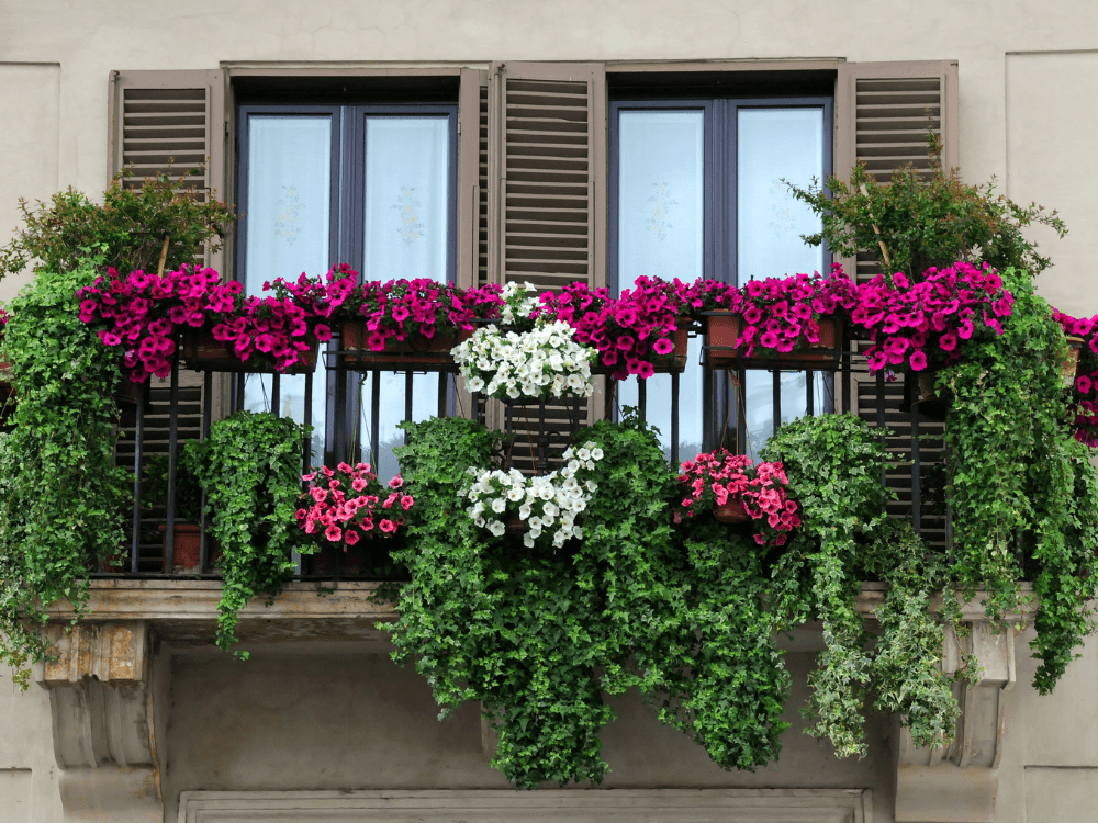 Landscaping Trends Blog 2 Landscaping Trends Blog 2