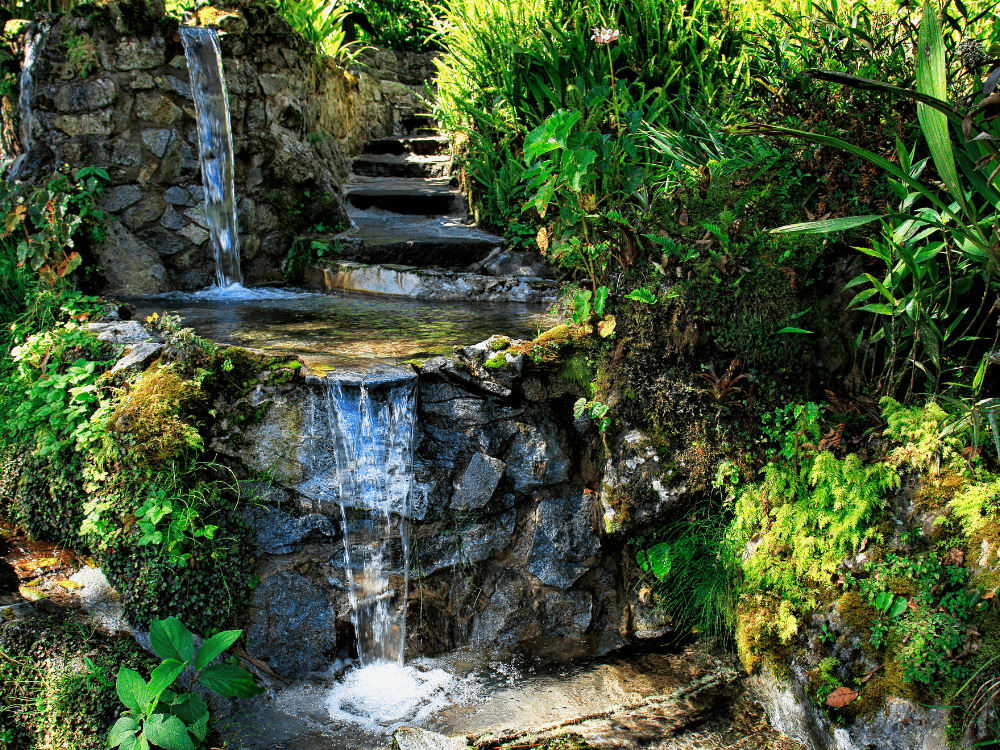 Landscaping Trends Blog 3 Landscaping Trends Blog 3