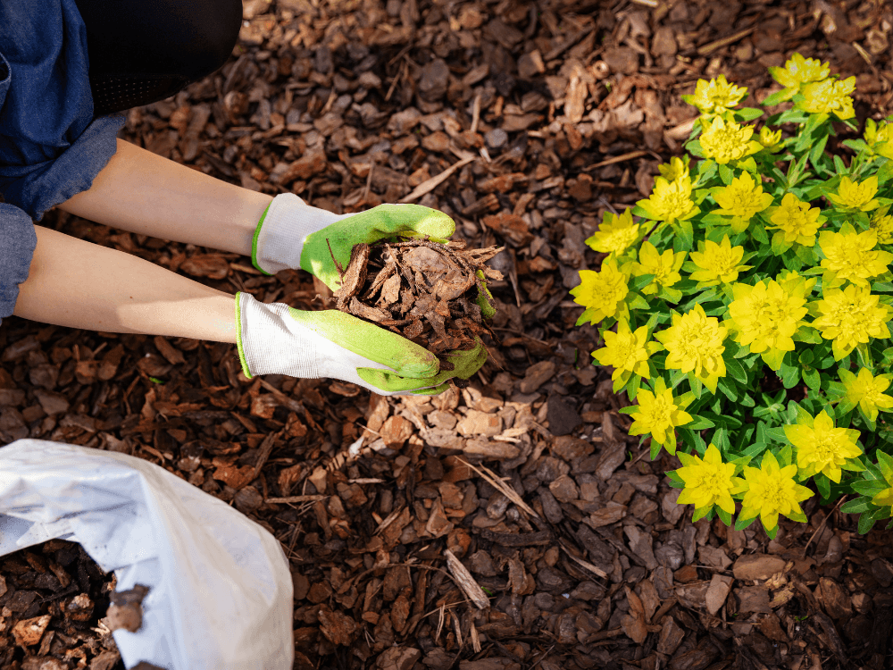 Landscaping Trends Blog 4 Landscaping Trends Blog 4