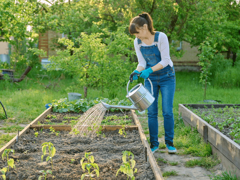 Landscaping Trends Blog 7 Landscaping Trends Blog 7