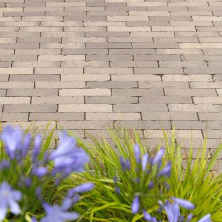 Wienerberger Alder Lotis Dutch Clay Pavers