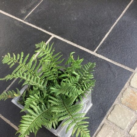 Kebur Natural Limestone Black Paving