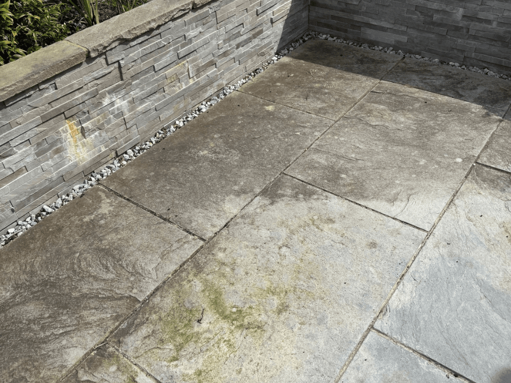 Algae Patio