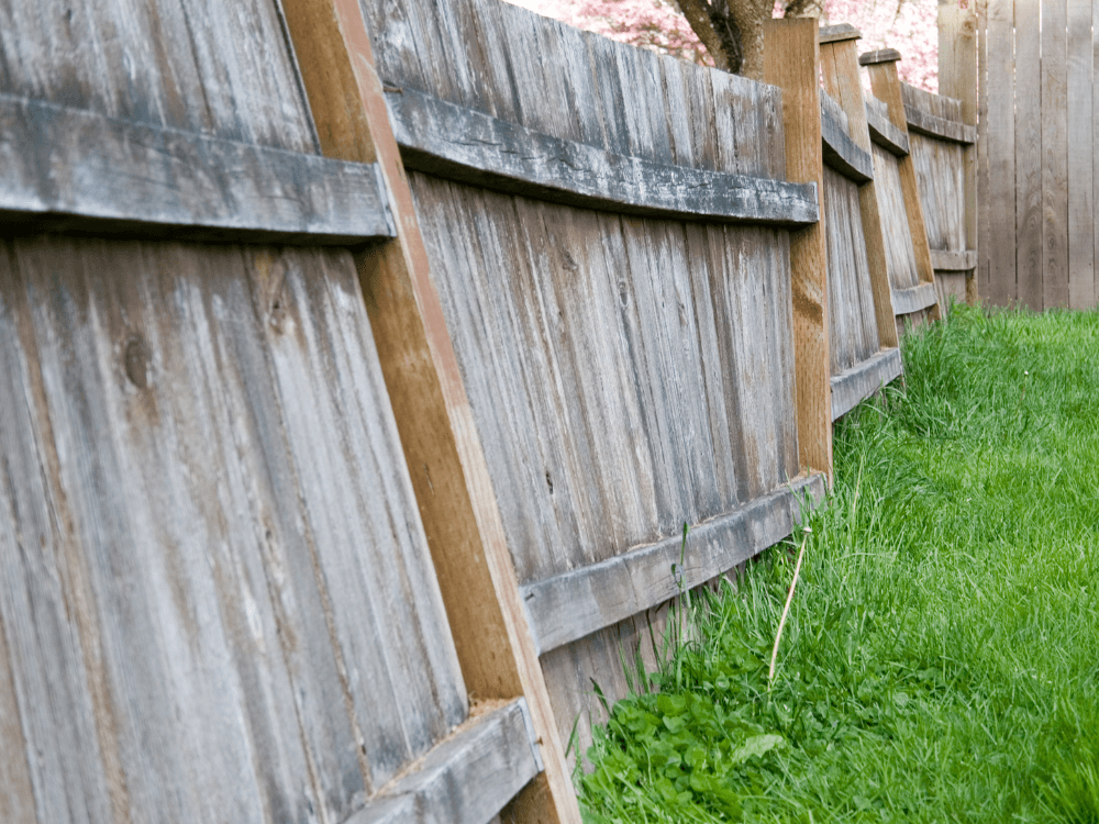 Fence Blog Image