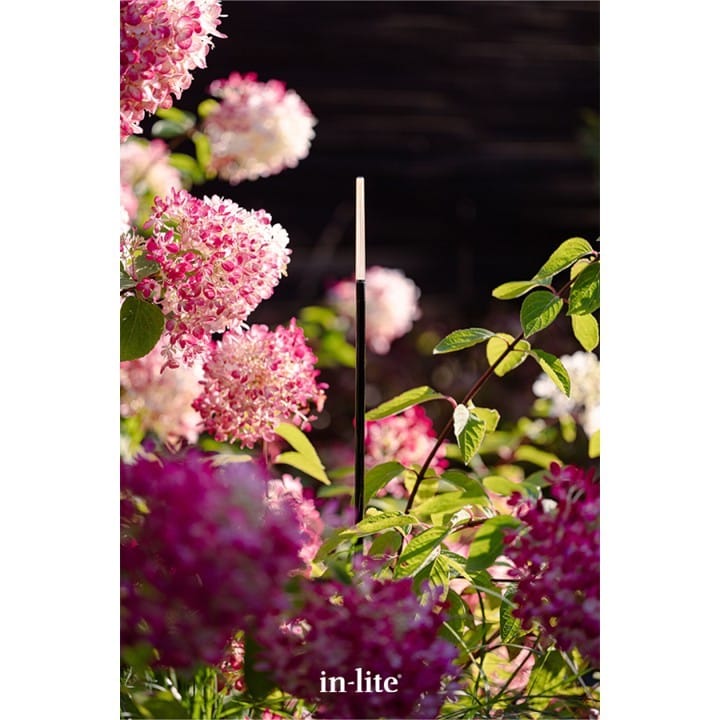 IN-LITE® BREEZE planting lights - Image 2