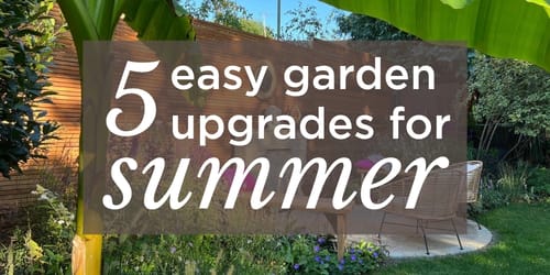 Website Banners 500x250px