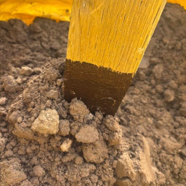 HD Timber Coating - Image 3